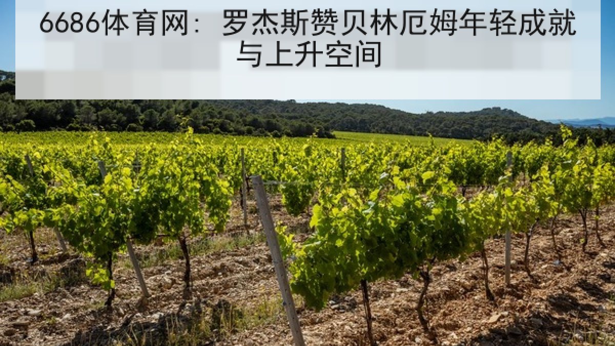 6686体育网: 罗杰斯赞贝林厄姆年轻成就与上升空间
