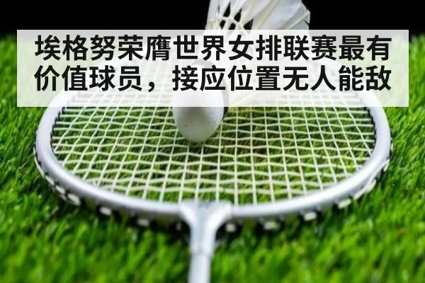 埃格努荣膺世界女排联赛最有价值球员,接应位置无人能敌
